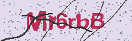 Codice captcha
